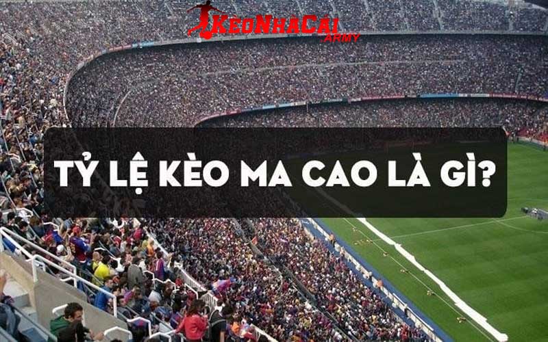 Tỷ lệ cược Macau là gì?